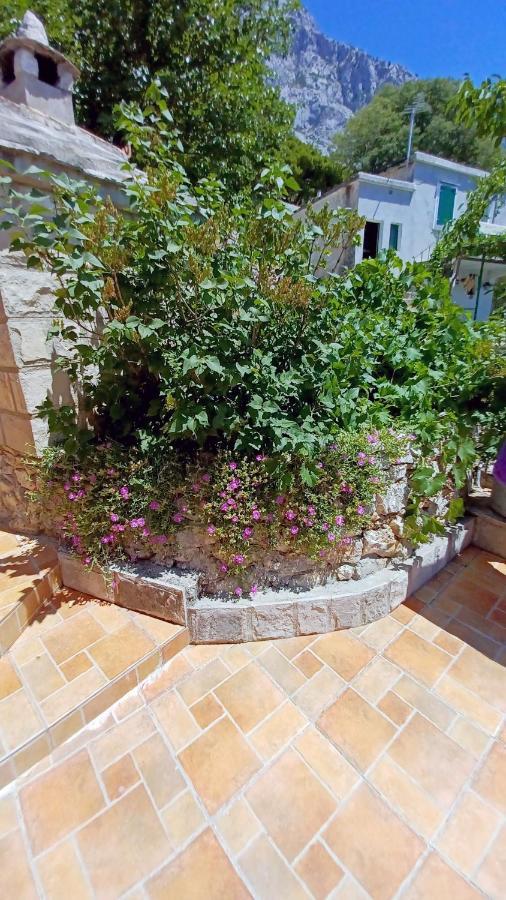 Holiday House Terezija Baška Voda Eksteriør bilde